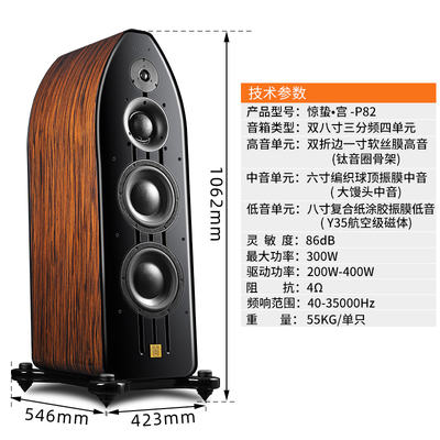 HAVE 2020上海高級視聽展詳情回顧-派揚音響